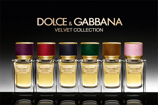 Dolce gabbana velvet collection sale